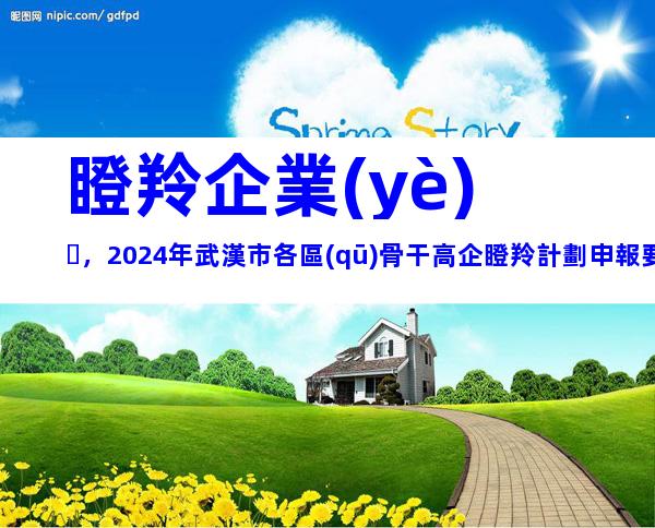 瞪羚企業(yè)，2024年武漢市各區(qū)骨干高企瞪羚計劃申報要求、時間